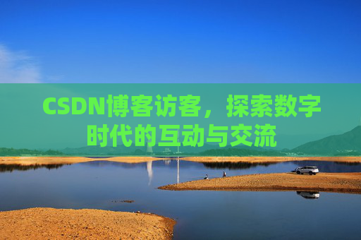 CSDN博客访客，探索数字时代的互动与交流
